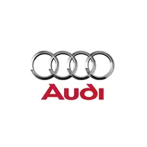 SG Mold partner - Audi